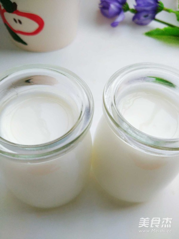 Homemade Yogurt recipe