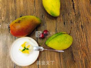 Mango Panna Cotta recipe