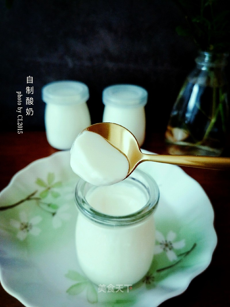 Homemade Yogurt recipe