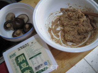 Tofu Meatball Soup recipe