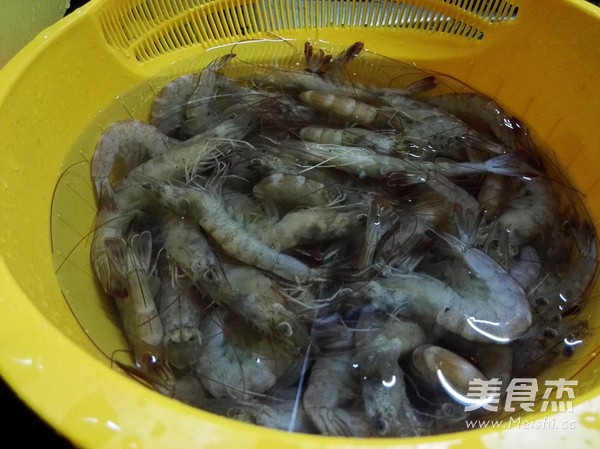 Brine Shrimp recipe