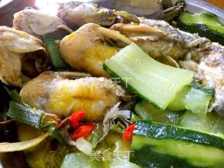 Cucumber Braised Yellow Bone Fish recipe