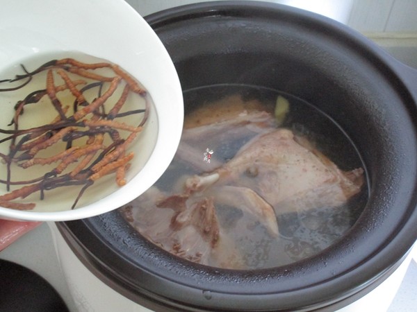 Stewed Duck with Cordyceps recipe