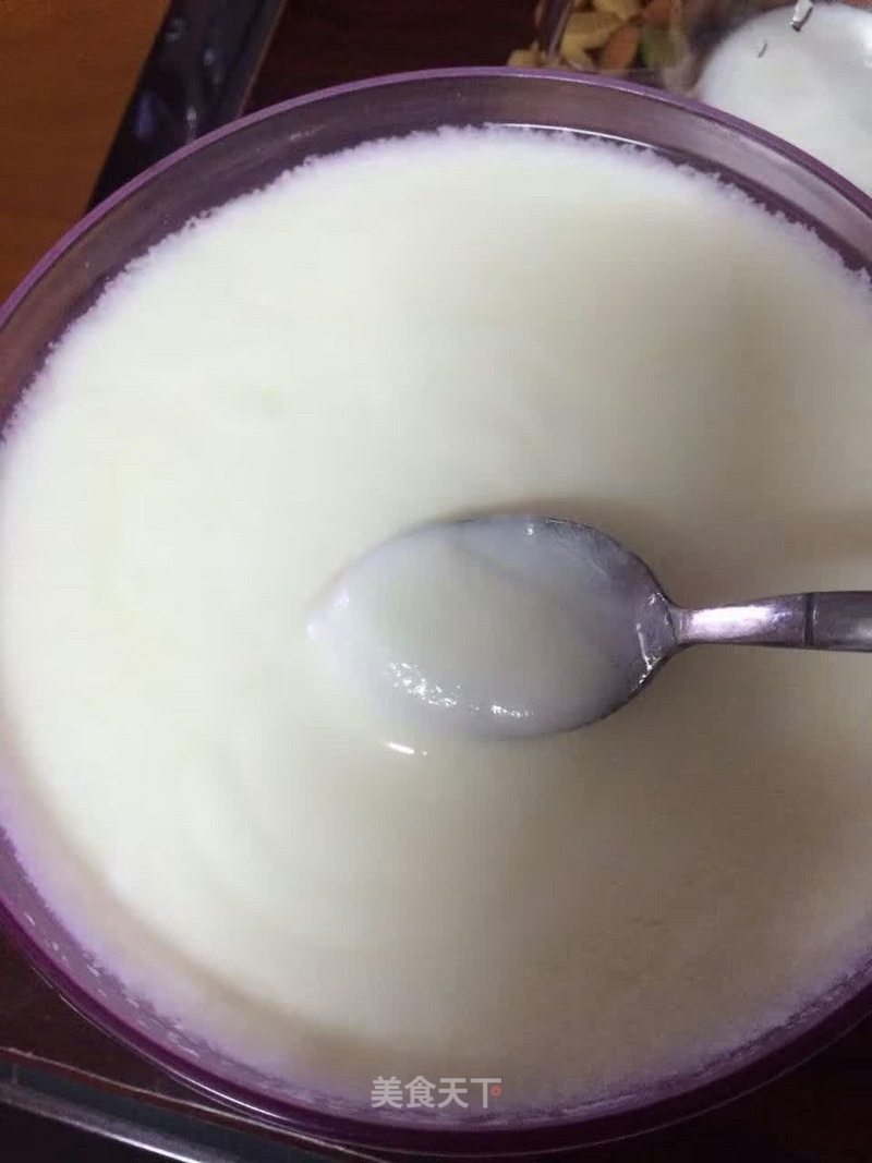 Yogurt Homemade recipe