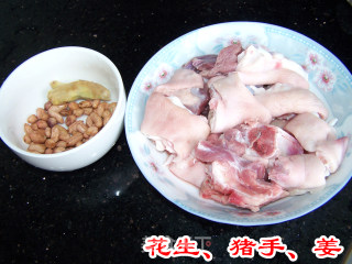 Nutritious Peanut Pork Knuckle recipe