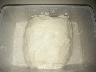 Italian Leaven Ciabatta (slipper Bread) recipe