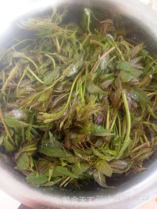 #春食野菜香# Pickled Toon recipe