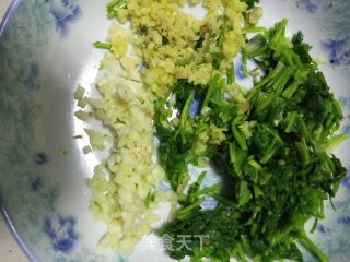 Coriander recipe