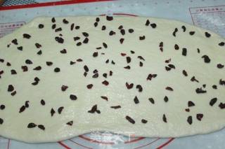Cranberry Shredded Bread recipe