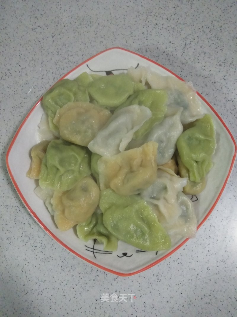 Spinach and Chicken Breast Dumplings recipe
