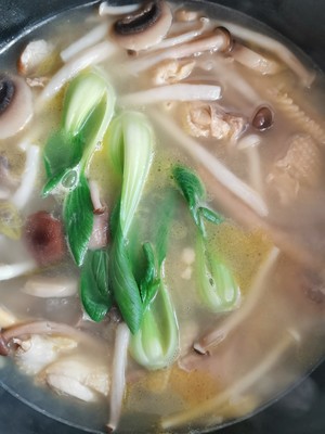 Mushroom Chicken Soup recipe