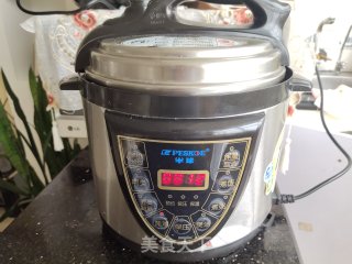 Electric Pressure Cooker Braised Goose recipe