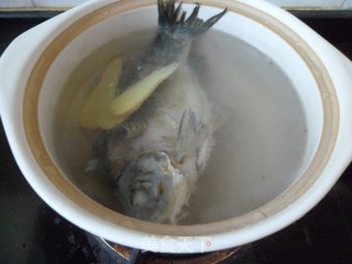 Papaya Crucian Carp Soup recipe