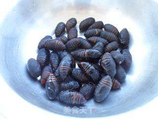 Cheat Sheet Cocoon Pupa recipe