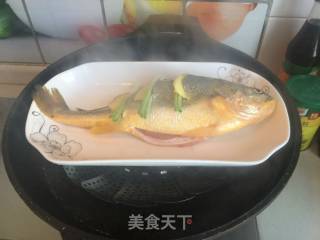 【jiangsu】steamed Yellow Croaker recipe
