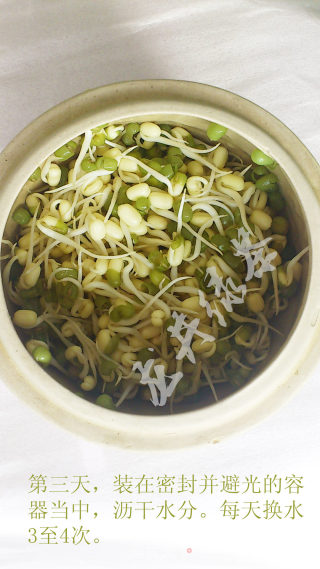 Homemade Assured Bean Sprouts recipe
