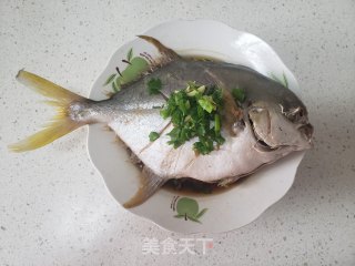 Steamed Golden Pomfret recipe