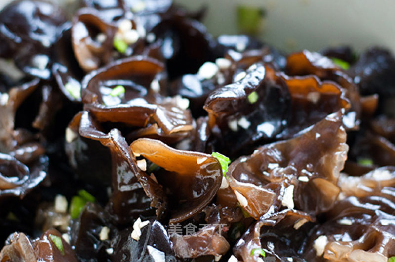 Cold Fungus recipe