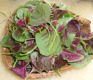Garlic Sweat Vegetables recipe