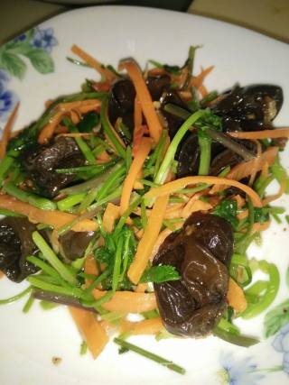 Cold Fungus recipe