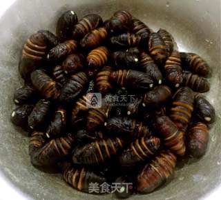 Dry Stir-fried Silkworm Pupa recipe