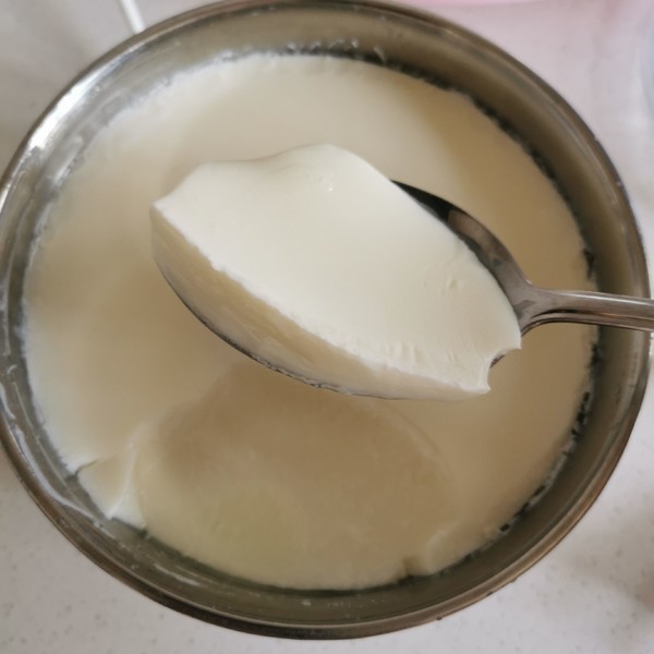 Homemade Yogurt recipe