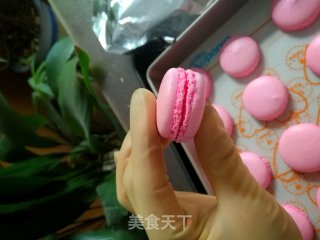 Maiden's Dream Macaron recipe