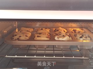 Condensed Milk, Honey Beans and Cranberry Meal Buns recipe