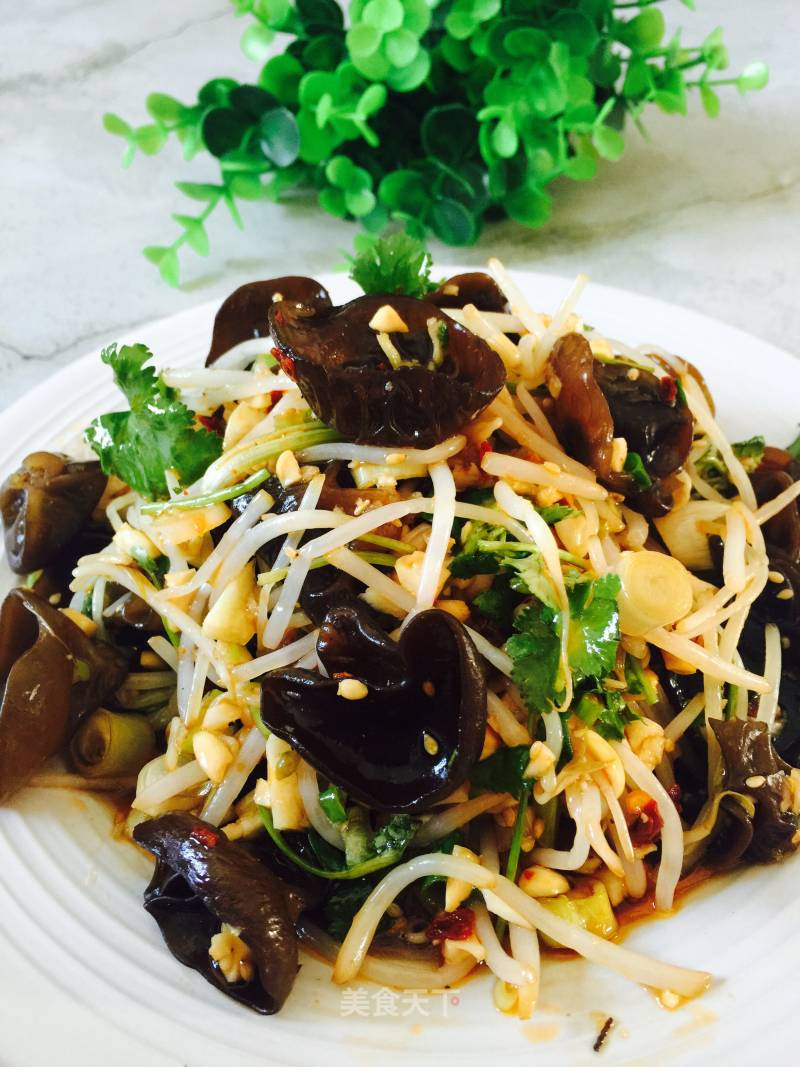 Cold Fungus and Mung Bean Sprouts recipe