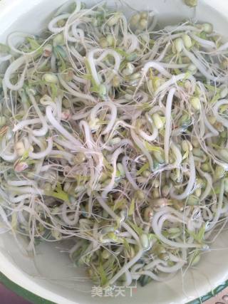 Bean Sprouts recipe