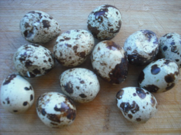 Whitebait Soup with Bean Sprouts and Quail Eggs recipe