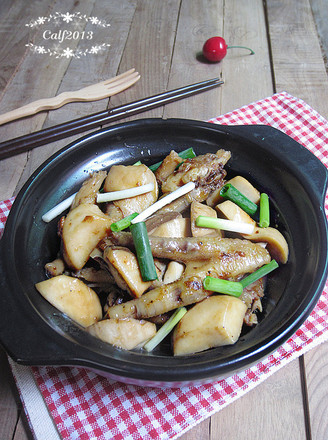 Braised Chicken Feet with Pleurotus Eryngii recipe