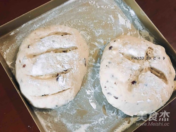 Cranberry Cheese Soft European Buns recipe