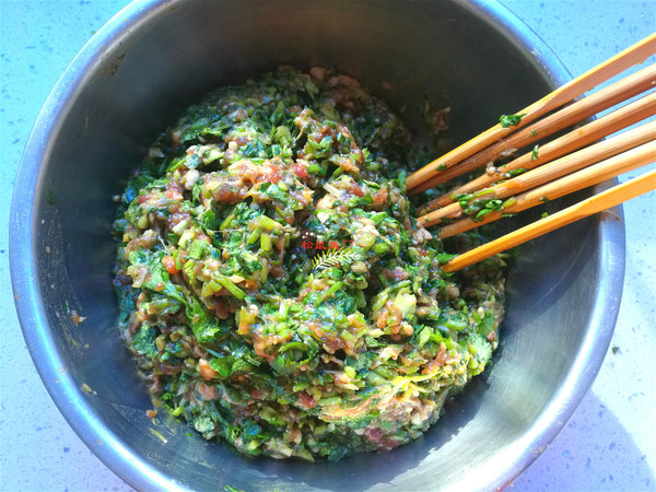 Beef Cilantro Dumplings recipe