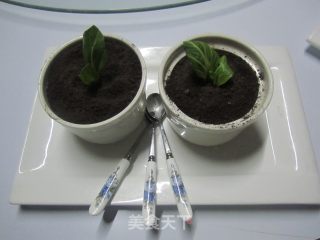 Small Potted Plants recipe