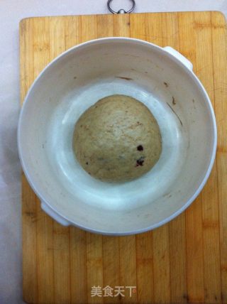 Visible Whole Wheat Toast recipe