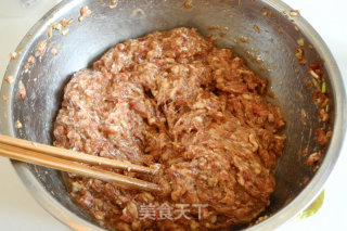 Radish Pork Pie recipe