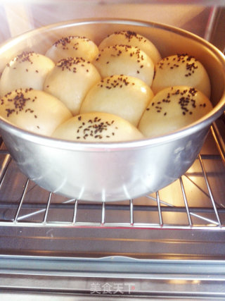 Tartary Buckwheat Multigrain Bread recipe