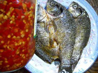 Grilled Fish with Microwave Chopped Pepper recipe