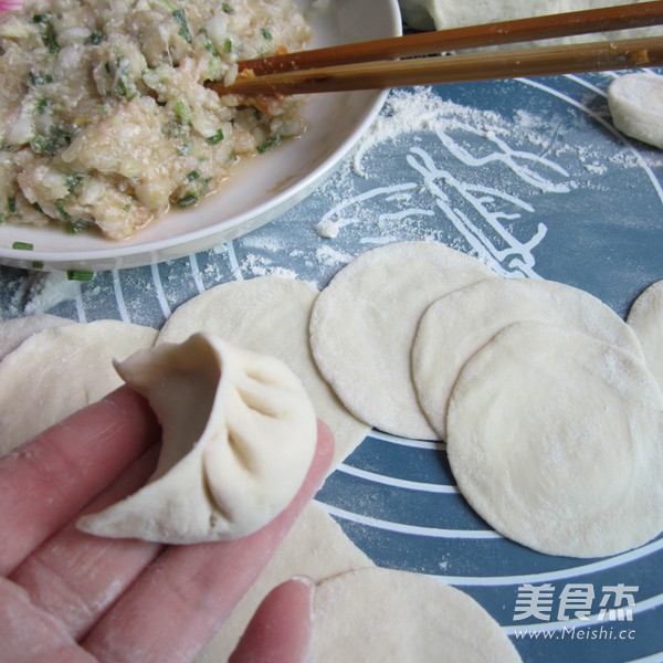 Pork Cabbage Dumplings recipe