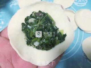 Eleutherococcus Senticosus Dumplings recipe