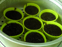 Black Rice Cold Cake recipe