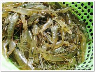 Fried Shrimp recipe