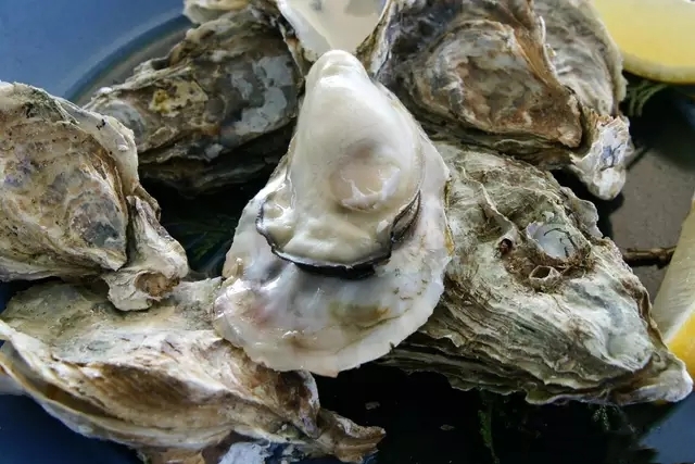 Garlic Oysters recipe