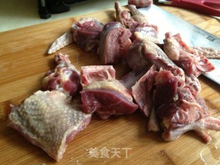 【stewed Pigeon with Tea Tree Mushroom】 recipe