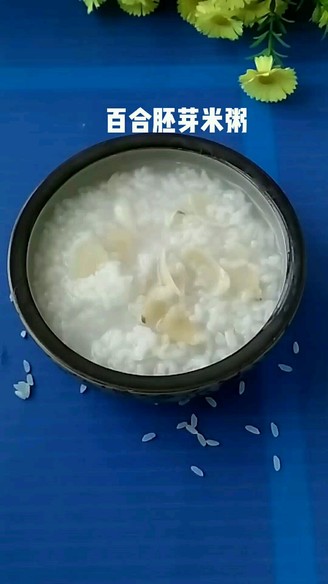 Lily Germ Rice Porridge