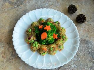 Curry Beef Fried Rice with Vegetable Salad recipe