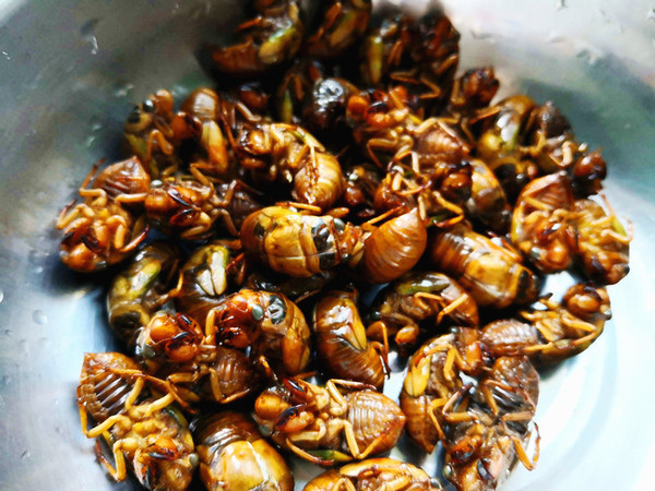 Fried Golden Cicada recipe