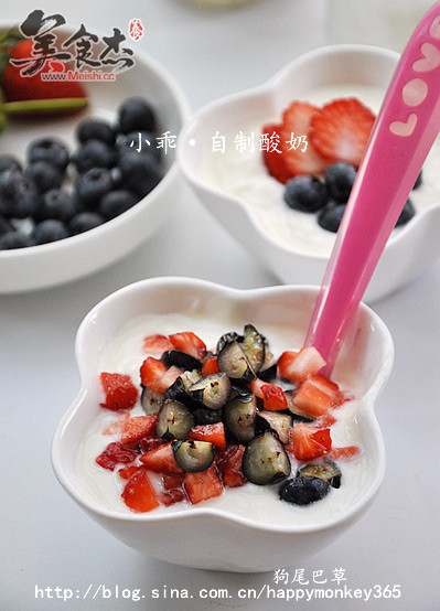 Homemade Yogurt recipe