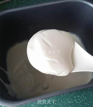 Nut Yogurt recipe